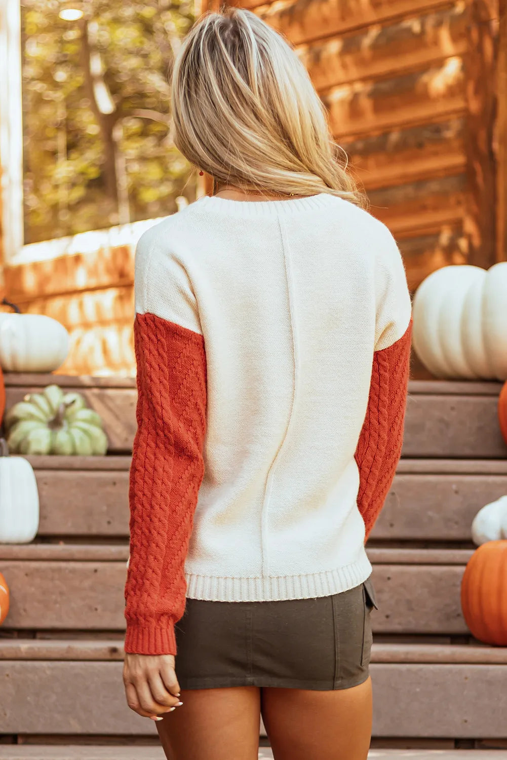 Color Block Round Neck Long Sleeve Sweater